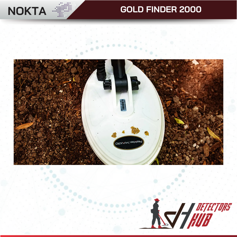 Nokta  Makro Gold Finder 2000